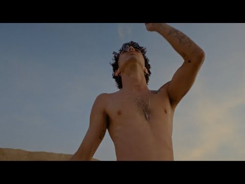 אביעד הנדל - טורקיז