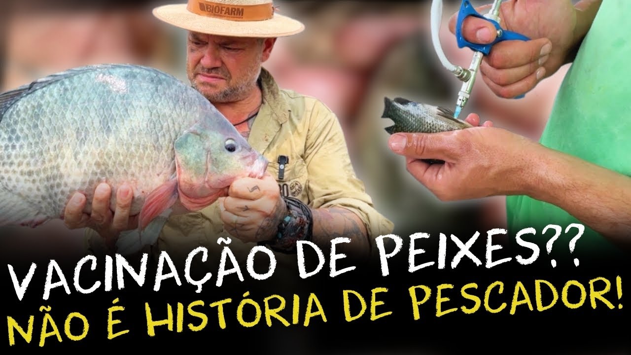COMO ASSIM, ESTÃO VACINANDO OS PEIXES QUE VOCÊ COME?