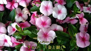 Download lagu 金と銀 LEHAR :GOLD UND SILBER mp3 Download lagu 金と銀 LEHAR :GOLD UND SILBER mp3