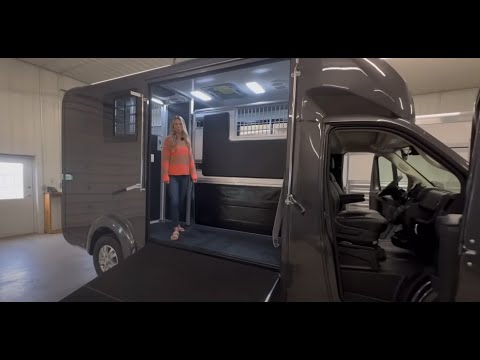 STX Horse Van for Sale
