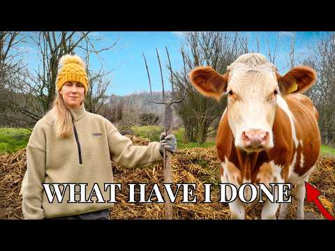 We Had To Be Rescued - The Day The Mud Beat Us