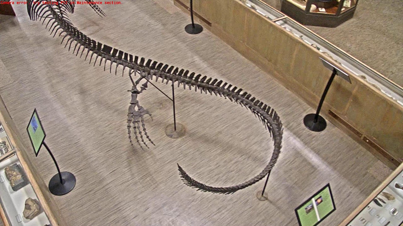 Live webcam view of Cámara del Museo de Geología