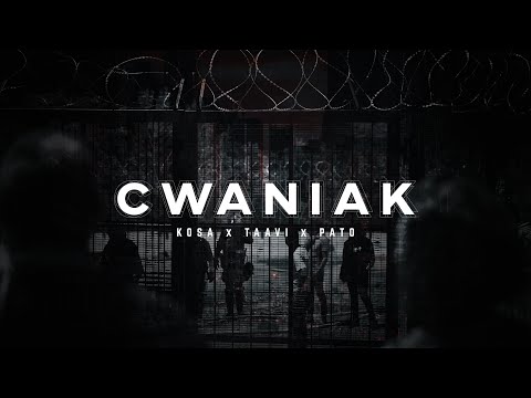 Kosa x Taavi x Pato - CWANIAK