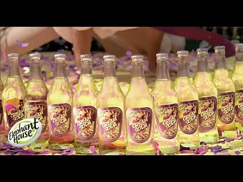 Elephant House Cream Soda | Put the Pop Back into Your Life