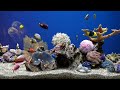 Dream Aquarium Fish Tank No Music Calming Water Sounds 5 Hours