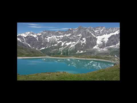 Lo specchio della natura - Giuseppe Silvestri Verbivalle -