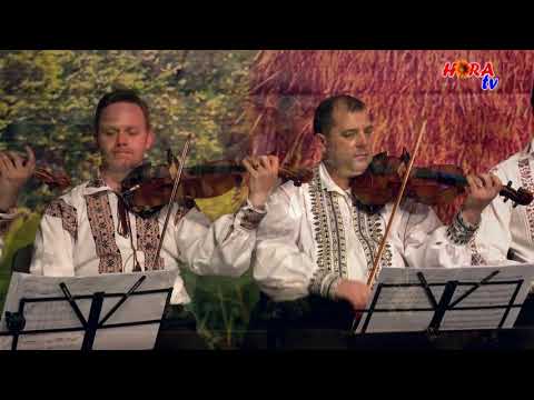 VASILE COCA - Dragu mi sa joc p-aci - LIVE