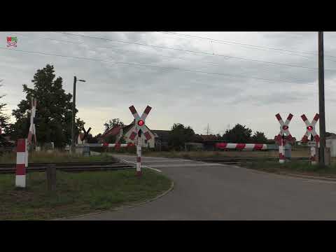 Bahnübergang Rehfeld (Falkenberg) #3 (D) - 26.8.2023 / Železniční přejezd / German railroad crossing