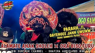 Download lagu LAGU JARANAN PALING GAYENG GEA AYU DINDA TERBARU ROGO SAMBOYO PUTRO SHAFIRA AUDIO mp3 Download lagu LAGU JARANAN PALING GAYENG GEA AYU DINDA TERBARU ROGO SAMBOYO PUTRO SHAFIRA AUDIO mp3