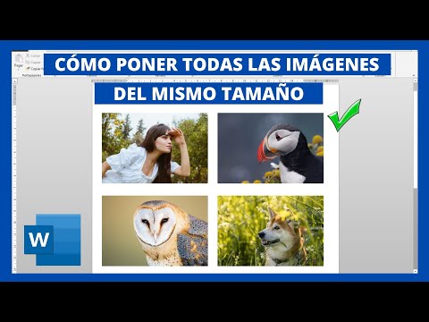 How to make all images the same size in Word 🔥
