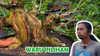 Download lagu INI ADALAH PILIHAN YANG BERBEDA UNTUK PELATIH mp3