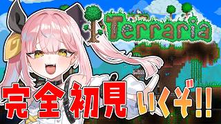【Terraria】A型が〇ぬ。完全初見でメチャクチャやるテラリアンゴ～！_(っ’o’c)_ 【#柚鳥ペケ/Vtuber】 #ペケライブ