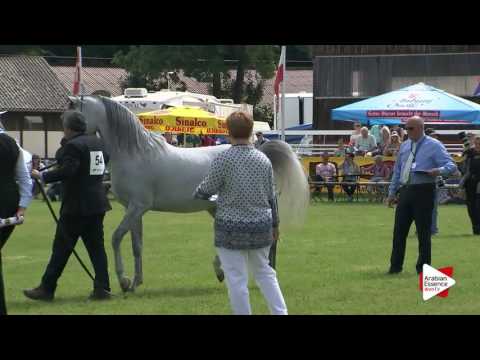 Strohen 2016 - Class 12