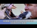 Abnormally Large Animals That Are Actually Real