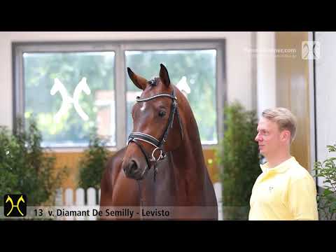 Verden Stallion Licensing 2020 - No. 13 Stallion by Diamant De Semilly - Levisto - Pinocchio
