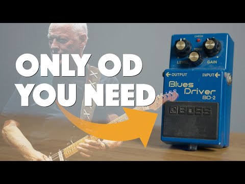 Only Overdrive You NEED For David Gilmour Tones (Budget) | Boss BD-2