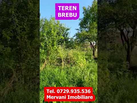 Teren intravilan 1430 mp de vanzare in Brebu — Video
