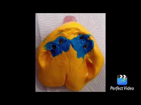 Mi vídeo