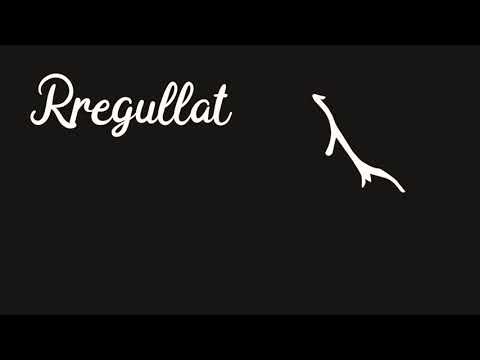 TEXHUID  Rregullat e nunit me sukun dhe tenwijnit.  2-IDGAMI