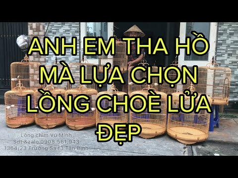 4 MẪU LỒNG CHÍCH CHOÈ LỬA ĐẸP