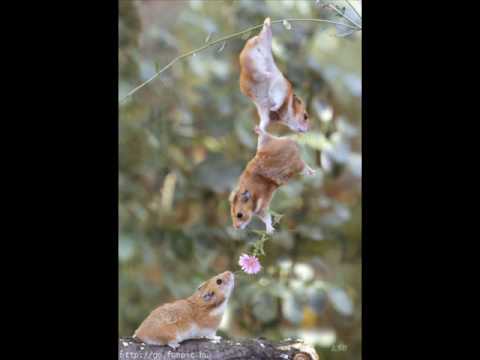 Nobody's Fool -Kenny Loggins