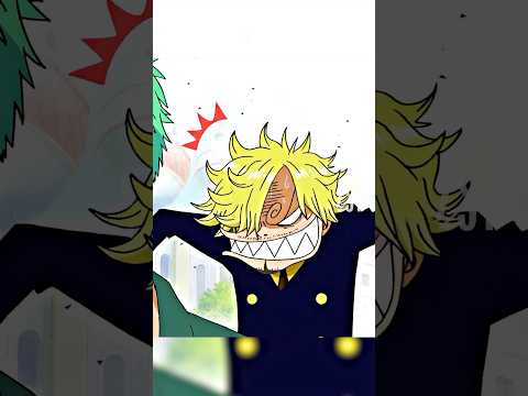 Sanji and Zoro are fighting… again (OPedits)