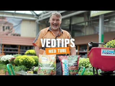 Vedförvaring | Tips & råd [HORNBACH]