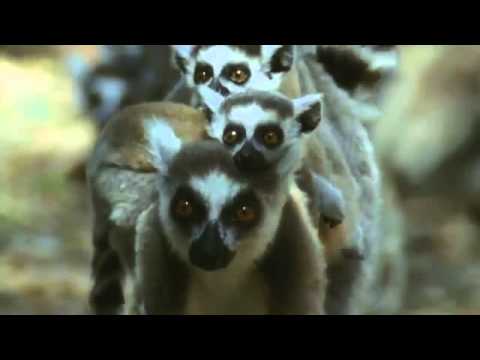 Amal Perera Hadapathula.flv