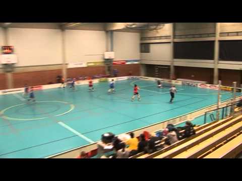 Nib-Blue Fox su 7.11.10.mpg