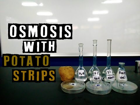 OSMOSIS IN POTATO STRIPS