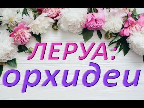 ЛЕРУА:ОРХИДЕИ,Самара,ТЦ "Космопорт",15.06.2019