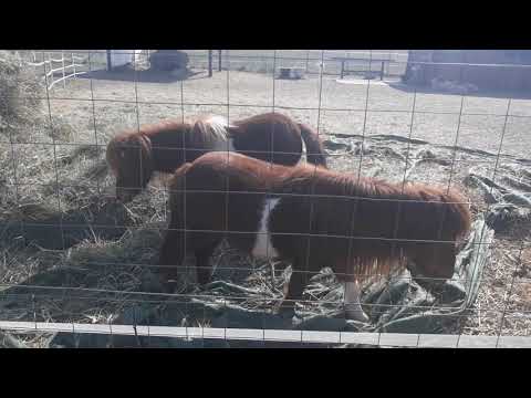 Best trip tips of Hungary – Dunakeszi