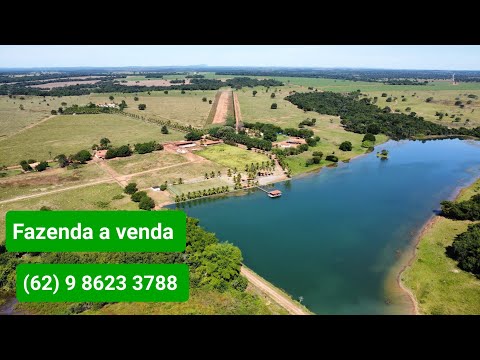 Farm in Goiás - 62 9 8623-3788 - 100 million cf. 36,567