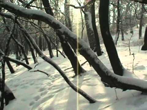 Tardosi  majdnem mászós Bushcraft