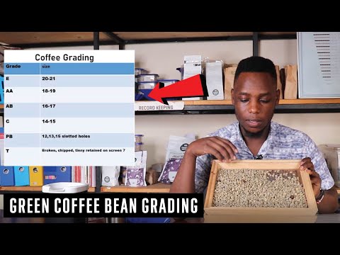 HOW TO ANALYZE GREEN COFFEE BEANS