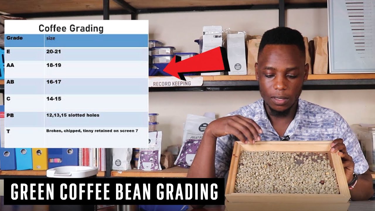 HOW TO ANALYZE GREEN COFFEE BEANS