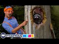 Blippi Visits The Wildlife Park Learn About Animals Blippi