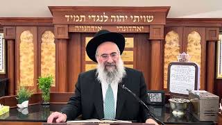 יהי כבוד תלמידך חביב עליך כשלך (הרב יצחק ישראלי) - התמונה מוצגת ישירות מתוך אתר האינטרנט יוטיוב. זכויות היוצרים בתמונה שייכות ליוצרה. קישור קרדיט למקור התוכן נמצא בתוך דף הסרטון