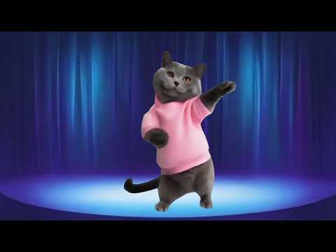 😻🐾️Cat videos funny dance 💃😻😮cat #catvideos #cutecat #catlover