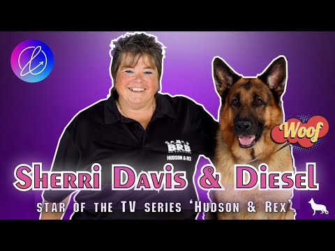 Dog master Sherri Davis w/ German Shepherd Diesel ‘Rex’ in the action-packed drama ‘ Hudson & Rex’