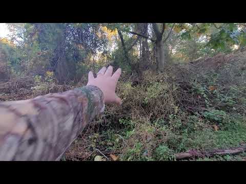 Odd Findings with Montauk Is Strange and LIB