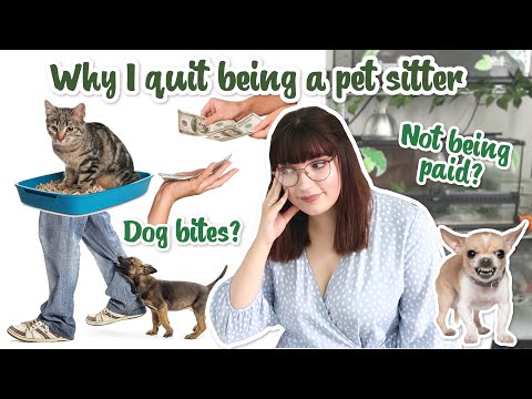 Why I quit being a Pet sitter