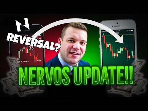 Crucial Insights into Nervos Network CKB You Need to Know NOW