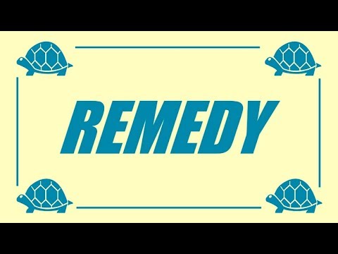 The Taxman - Remedy (Lyric Video)