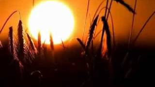 Casting Crowns - While You Were Sleeping