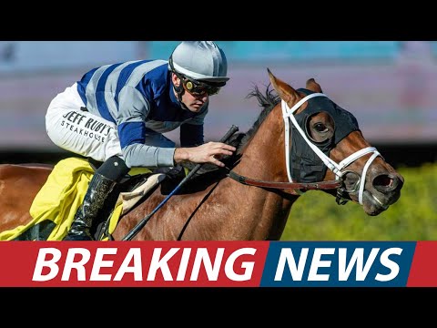 Blue Norther Stakes Thriller La Ville Lumiere Wins at Santa Anitav। USA NEWS TODAY