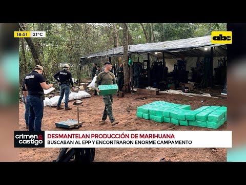 Buscaban al EPP y encontraron enorme campamento de marihuana en Canindeyú