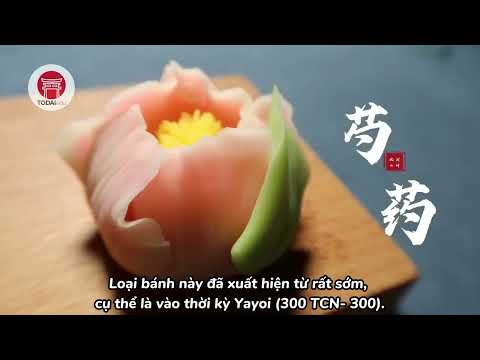 TODAI CHIA SẺ | CÙNG TÌM HIỂU VỀ BÁNH WAGASHI