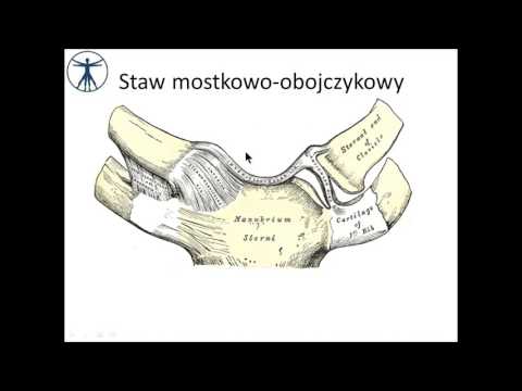 Piękne mięśnie ciała dziewczynki Stosowanie letrozolu w kulturystyce
