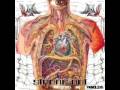 Strung Out: Don't Look Back